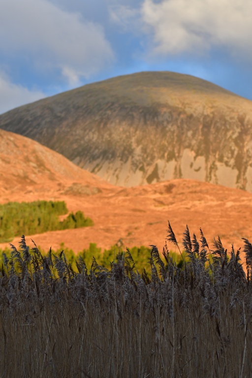 2018-11 Scotland/Skye South/DSC_7288.JPG